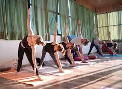Vinyasa Yoga Teacher Training in Rishikesh