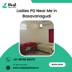 Ladies PG Near Me in Basavanagud (1)