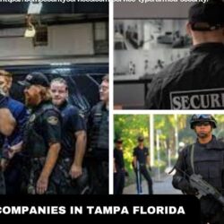 Security Companies In Tampa Florida 2