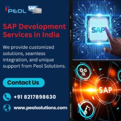 SAP Development Services in India