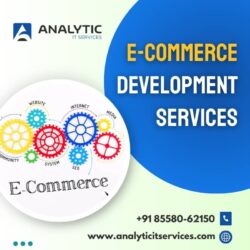 E-commerce development services (1)