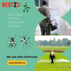 Best Pest control Companies in T