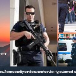 Armed Security Company 2