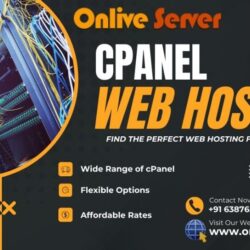 cPanel Web Hosting (29)