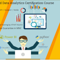 Data Analytics Course in Delhi (1)