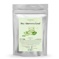 Aloevera Leaf small