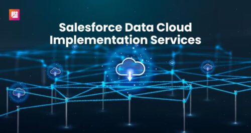 salesforce-data-cloud-service salesforce-data-cloud-service