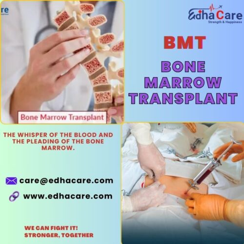 Bone Marrow Transplant- BMT Bone Marrow Transplant- BMT