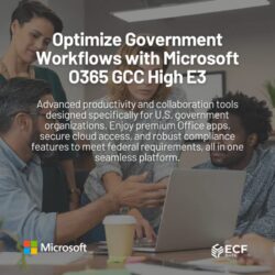 O365_GCC_High_E3_License_1