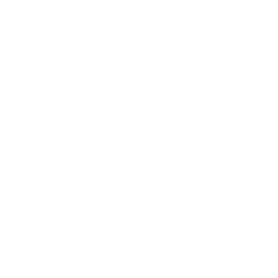 Binary-Marvels-Logo
