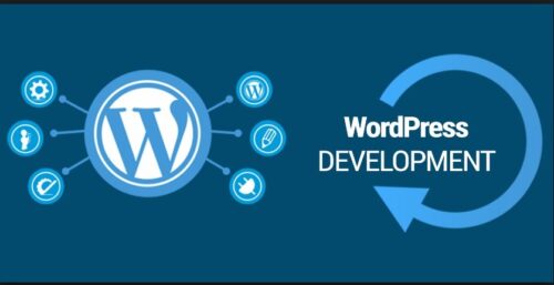 wordpress development ) wordpress development )