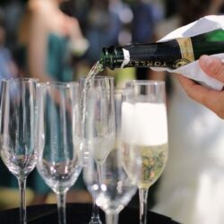 champagne