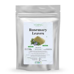 rosemarry leaves small