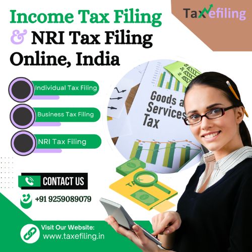 Tax E Filing Tax E Filing