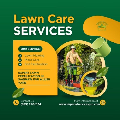 Expert Lawn Fertilization in Saginaw for a Lush Yard Expert Lawn Fertilization in Saginaw for a Lush Yard