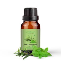 Mint Eucalyptus Fragrance small
