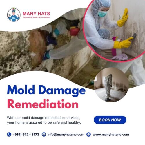 Mold Damage Remediation in Durham Mold Damage Remediation in Durham