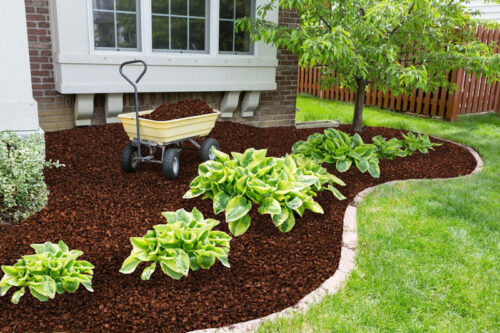 Rubber_Mulch_-_Landscape (1) Rubber_Mulch_-_Landscape (1)