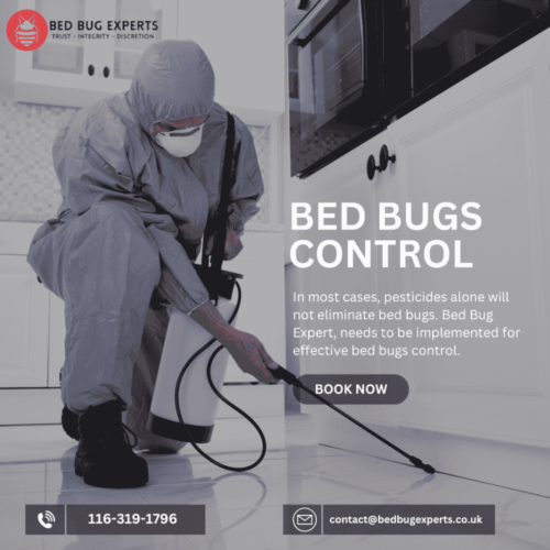 bed bugs control (1) bed bugs control (1)