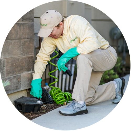 Reliable Pest Control in Orange County – Safe & Effective! Reliable Pest Control in Orange County – Safe & Effective!