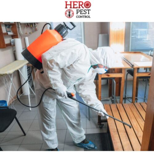 Residential Pest Control Melbourne (1) Residential Pest Control Melbourne (1)