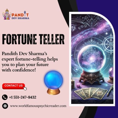 Fortune Teller Fortune Teller