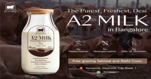 a2 milk bangalore a2 milk bangalore