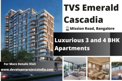 TVS Emerald Cascadia TVS Emerald Cascadia