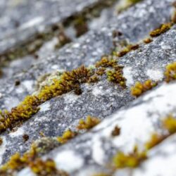 Asbestos-Survey-Redditch 2