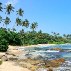 silva travel photo 4