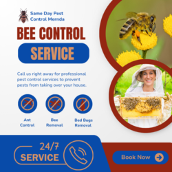 Same Day Pest Control Mernda - Bee Control