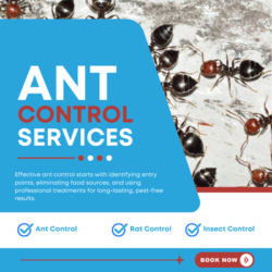 Same Day Pest Control Sunbury
