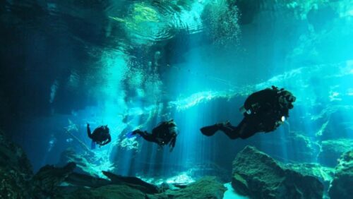 Diving Diving