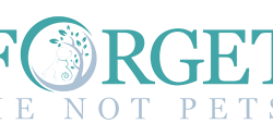 logo-2-300x125