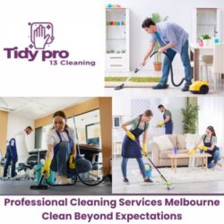 Professional Cleaning Services Melbourne Clean Beyond Expectations