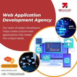 Web Application Development Agency