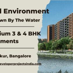 Total Environment Down By The Water