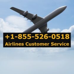 Airlines Customer Service (1)