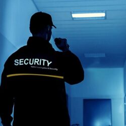 kestrel security