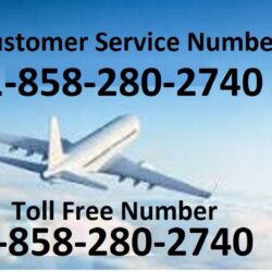 Airlines im