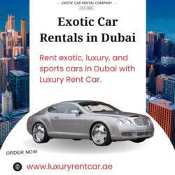 car rental