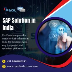 SAP Solution in India (1)