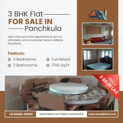 3 BHK Zirakpur -Anand infra