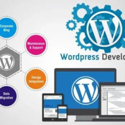 wordpress-development-600x338