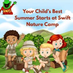 Your Child’s Best Summer Starts at Swift Nature Camp