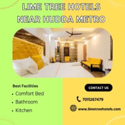 Lime tree Hotels Near Hudda Metro (6)