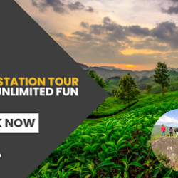 Munnar tour package