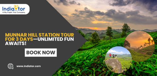 Munnar tour package Munnar tour package