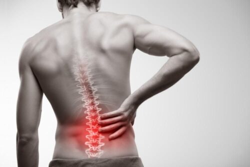 joint pain joint pain