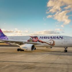 HA-Livery-Plane2-rev